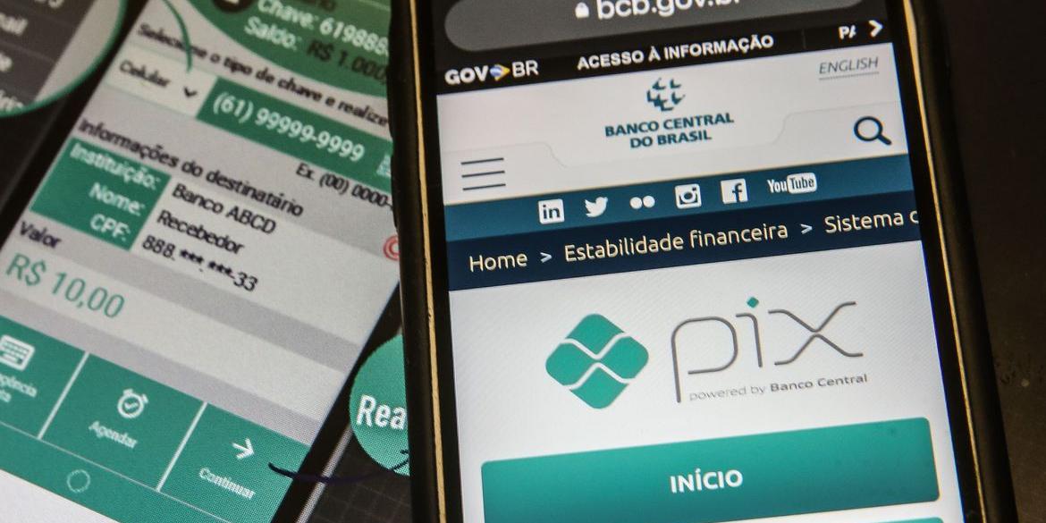 Cadastrar as chaves Pix no canal oficial do banco ou aplicativo é uma boa dica. (Marcello casal jr/Agência brasil)