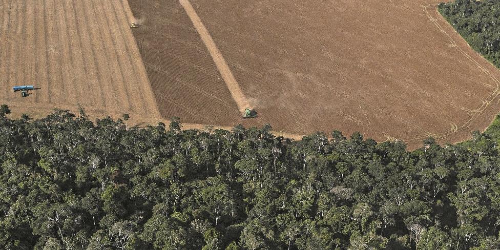 Estudo analisou as transições de uso do solo na Amazônia, de florestas para agricultura mecanizada (Marizilda Cruppe / Rede Amazônia Sustentável)