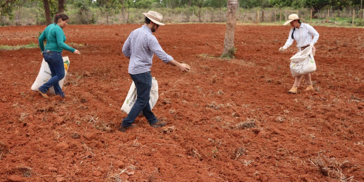 Área onde será realizada a segunda fase do projeto recebeu sementes de forrageiras para teste (ASCOM/ FAEMG SENAR)