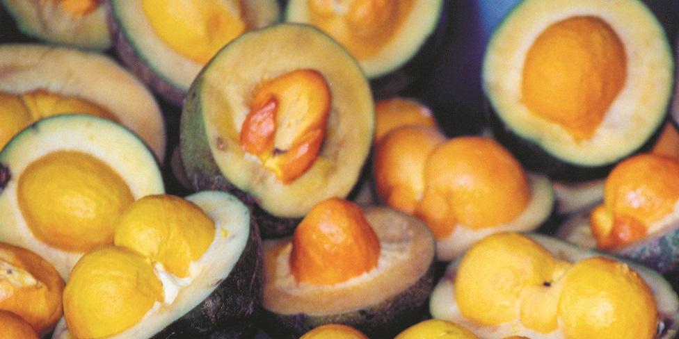 Nativo do Cerrado, pequi contribuiu para restauração da flora desmatada. (MANOEL FREITAS)