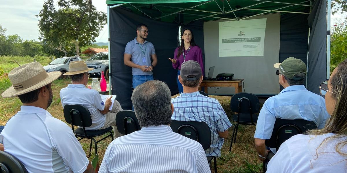 Na Fazenda Experimental, produtores tiveram contato com novas técnicas e aprendizados para o campo (Divulgação)