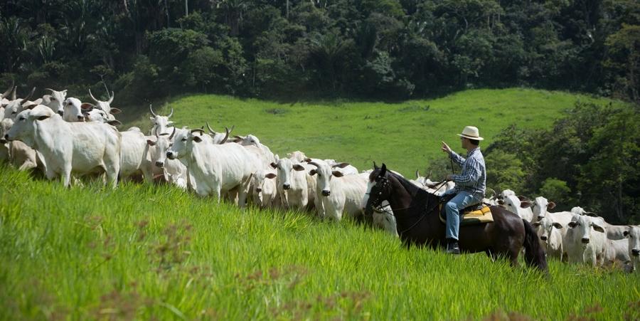 Notícia da prorrogação trouxe alívio para a classe dos produtores rurais da região (Wenderson Araujo)