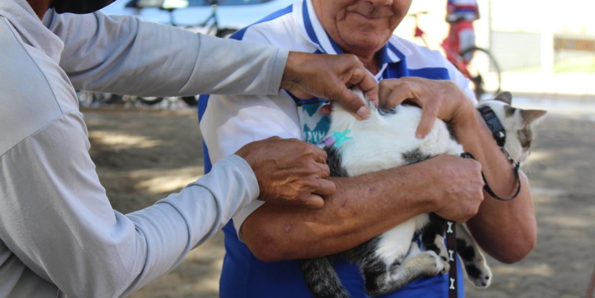 Animais devem ser imunizados em ação que acontecerá até o dia 19 de julho (leonardo queiroz)