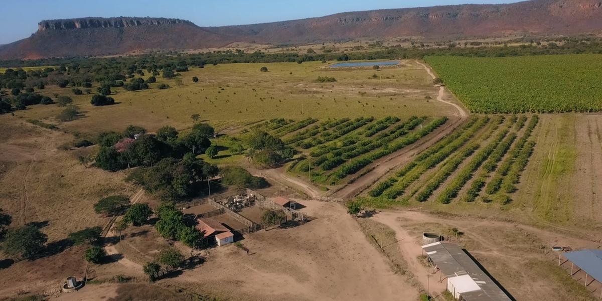 Fazenda Rio Verde entre as mais sustentáveis do Brasil: produção inovadora em 1.200 hectares no município de Verdelândia, Norte de Minas Gerais (Ascom/Sociedade Rural)