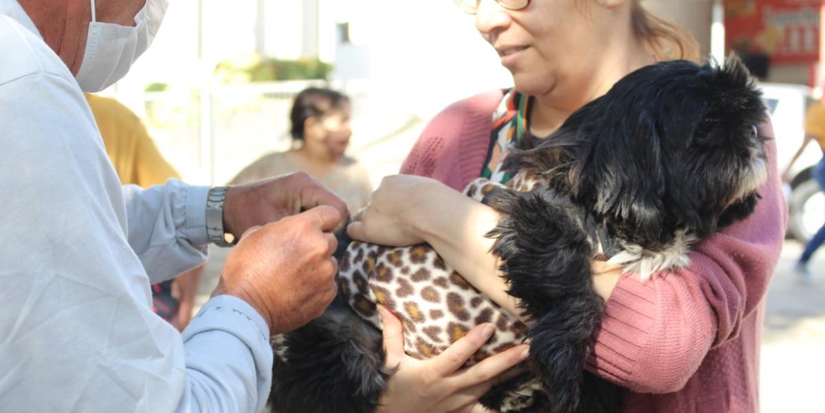 Doença é transmitida por meio da saliva de animais contaminados (Léo Queiroz)