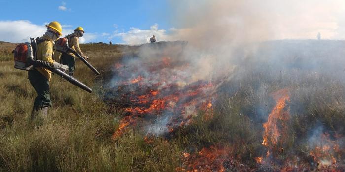 Fenômeno representa um aumento do risco de incêndios florestais no estado (Semad / Divulgação)
