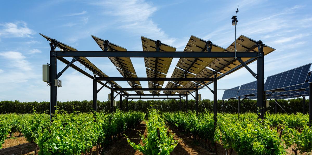 Projeto sobre uso de energia solar na agricultura avança em Minas Gerais (Antoine Bolcato / RPC)