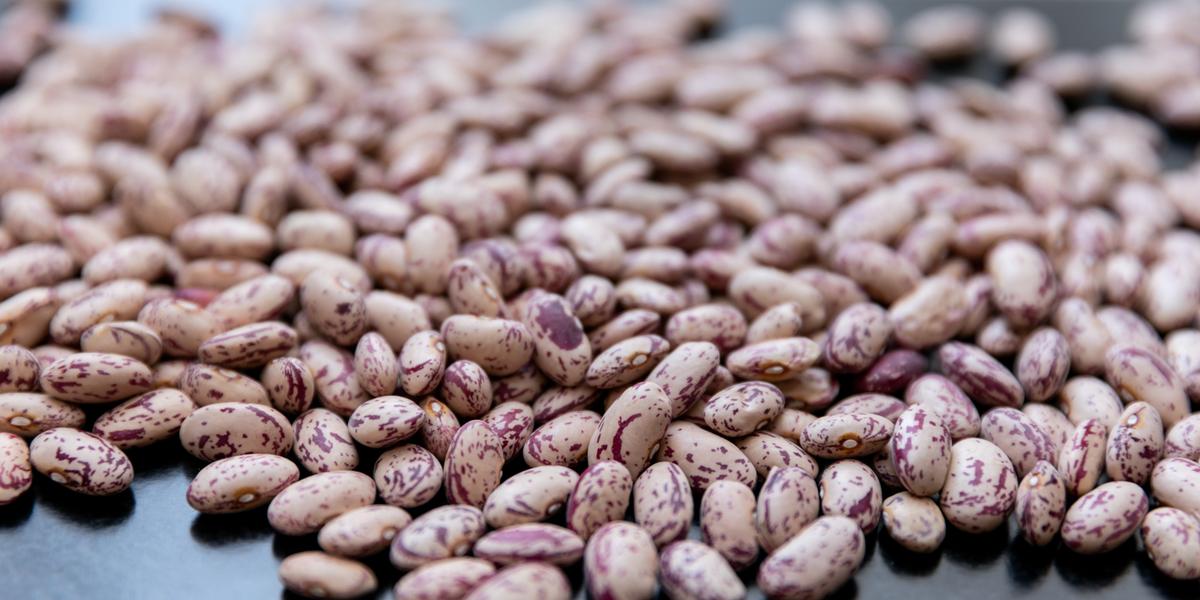 12 mil famílias de produtores rurais serão beneficiadas com a distribuição de sementes de feijão (FREEPIK)